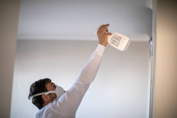 Best Kitchen Mold Remediation in Peralta, NM