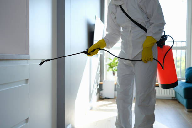 Professional Mold Remediation in Peralta, NM